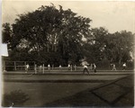 Tennis Courts by University Archives