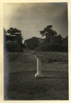 Sundial in School Garden by University Archives