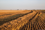 Cresap Farm Oat Harvest and Straw Baling by Ben Halpern