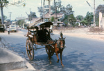 Vietnam - horse carriage by Doug Nichols