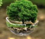 Ozioma Esther Onuselogu: One Health Initiative on Tackling Chagas Disease