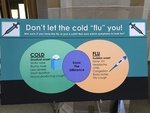 Don't let the cold "flu" you! by EIU Health Promotion Class