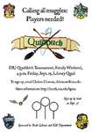 Quidditch Flyer by Beth Heldebrandt