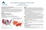 State Handling of Civil Rights and LGBTQIA+ Rights by Michael Fields