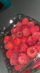 Raspberries by PUBH 2800 student