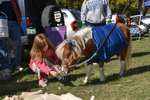 Homecoming 2013 by Housing & Dining