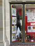 Display Case (left window): Marvel by Todd Bruns