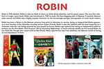 The First Sidekick: Robin by Todd Bruns