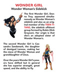 Wonder Girl by Todd Bruns